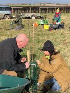 Volunteers planting a tree at the community orchard